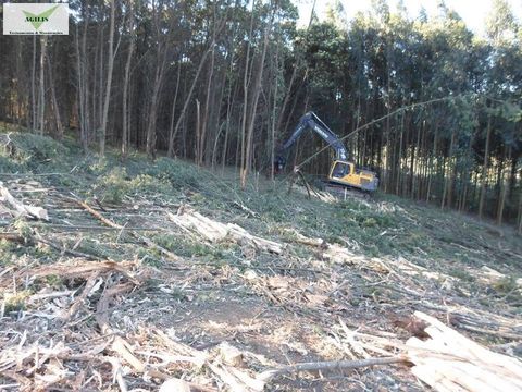 Treinamento em Operação e Ajustes do Programa Timber Rite Harvester