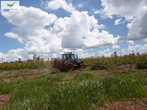 Treinamento em aplicação de Calcário e Herbicida 