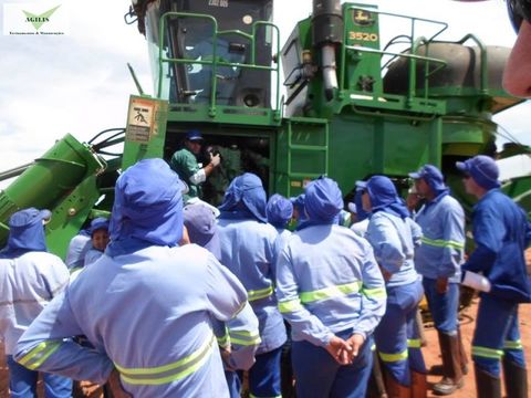Treinamento de Operação e Manutenção de Colhedora de Cana