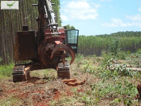 Curso de Operação de Feller Buncher 