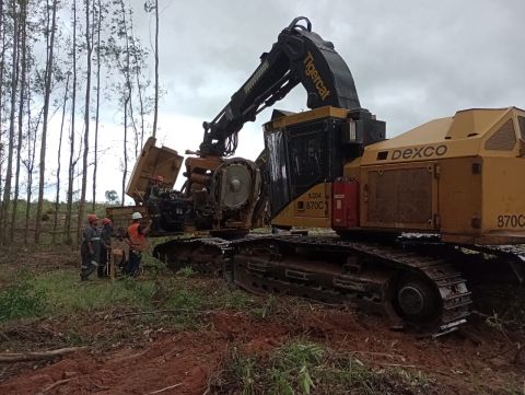 Treinamento e Desenvolvimento Operacional