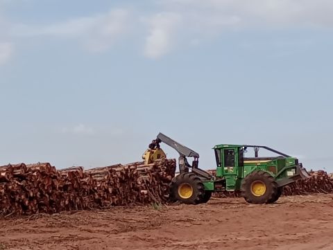 Formação Operador Feller Buncher, Garra Traçadora e Skidder