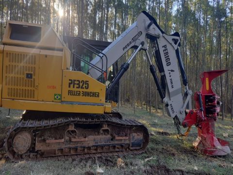 Treinamento de Formação Feller Buncher - Empresa Tanac na cidade Piratini -RS